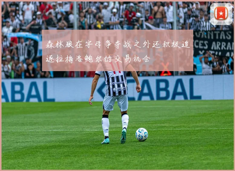 森林狼在字母争夺战之外还积极追逐拉梅洛鲍尔的交易机会